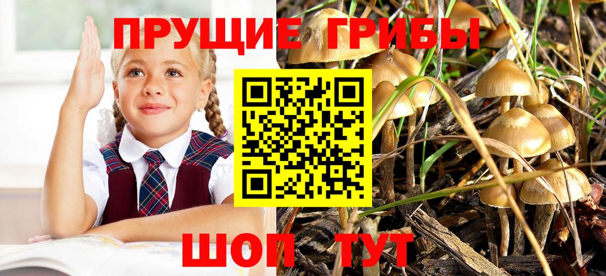 наркошоп  Вход с VPN  Грозный  Галлюциногенные грибы Psilocybe 